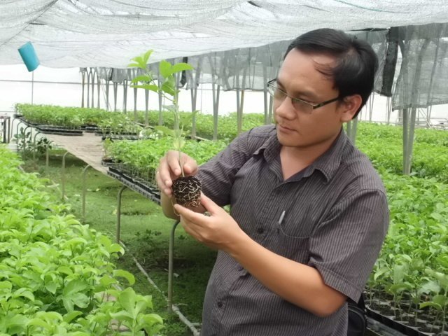 Seedling Vietnam - Một địa chỉ tạo giống cây tin cậy