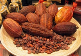 Cacao