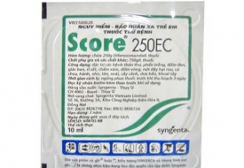 Score 250EC (Bệnh đốm nâu)